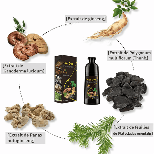 Shampoing Colorant 3-en-1 – Noir Naturel | Anti Cheveux Blancs + Soin + Brillant 500 ML - SARYNA STORE
